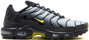 Giay Nike Air Max Plus 'Wolf Grey' DM0032-012