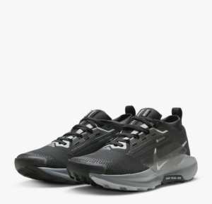 Giay Nike Pegasus Trail 5 Gore-Tex 'Black Wolf Grey' FQ0912-001