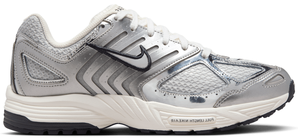 Giay Nike Air Pegasus 2K5 'Chrome' HJ7310-025