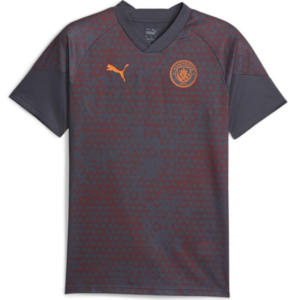 Ao Puma Training jersey Manchester City 'Grey Red' 772855-16