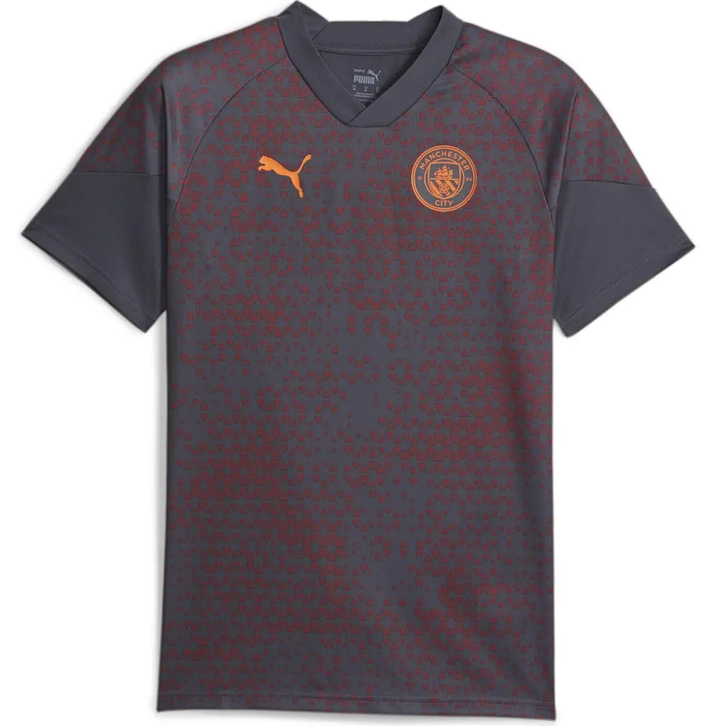 Ao Puma Training jersey Manchester City 'Grey Red' 772855-16