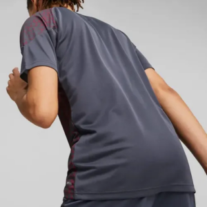 Ao Puma Training jersey Manchester City 'Grey Red' 772855-16