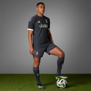 Ao Adidas Juventus 23/24 Third Jersey 'Grey' IQ4854