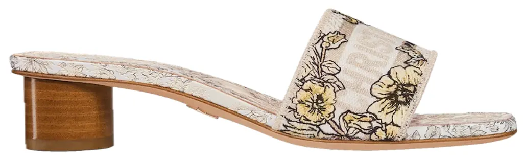 Dep Dior Dway Heeled Slide 'Multicolor' KCQ902UEL-S62K