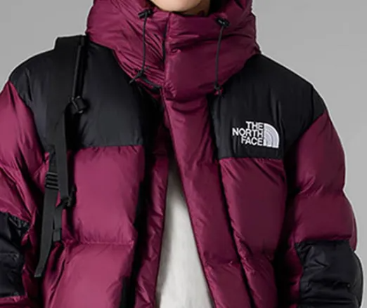 Ao The North Face Hmlyn Baltoro Jacket 'Boysenberry' NF0A832G-KK9