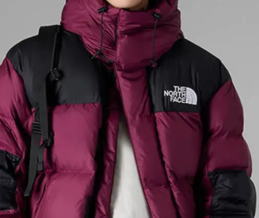 Ao The North Face Hmlyn Baltoro Jacket 'Boysenberry' NF0A832G-KK9
