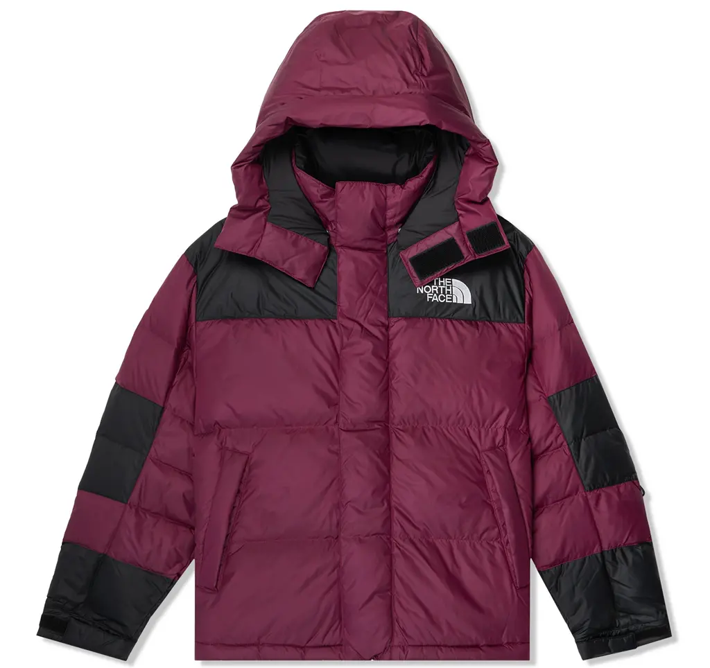 Ao The North Face Hmlyn Baltoro Jacket 'Boysenberry' NF0A832G-KK9