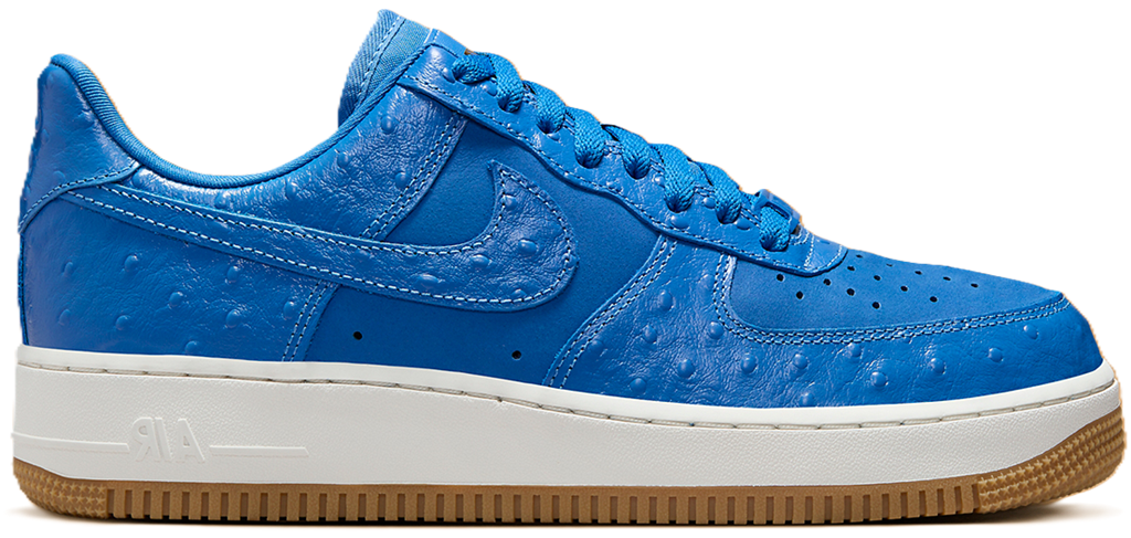 Giay Nike Air Force 1 Low 'Blue Ostrich' DZ2708-400