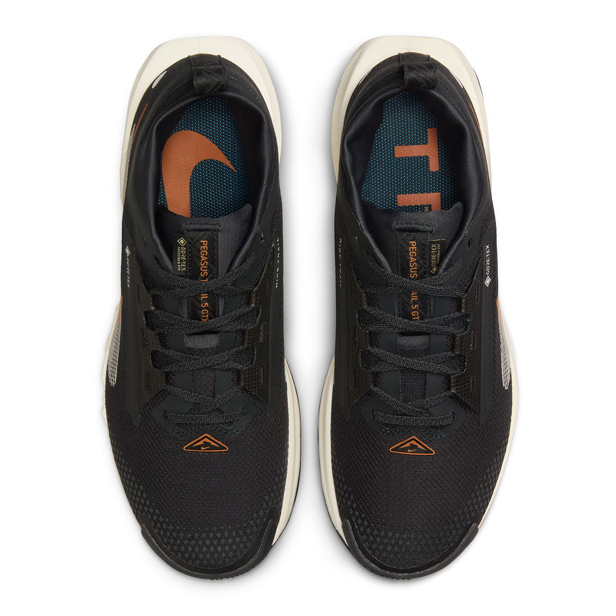 Giay Nike Pegasus Trail 5 GORE-TEX Waterproof Trail 'Black' FQ0912-005