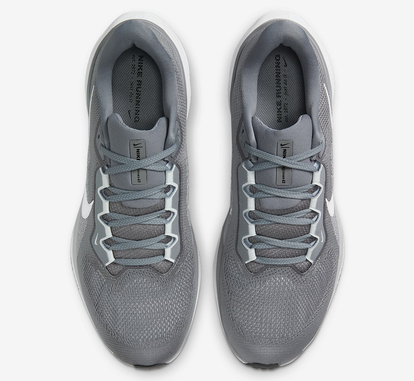 Giay Nike Pegasus 41 'Cool Gray Pure Platinum' FD2722-009