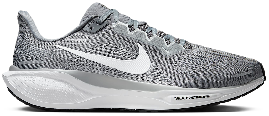 Giay Nike Pegasus 41 'Cool Gray Pure Platinum' FD2722-009