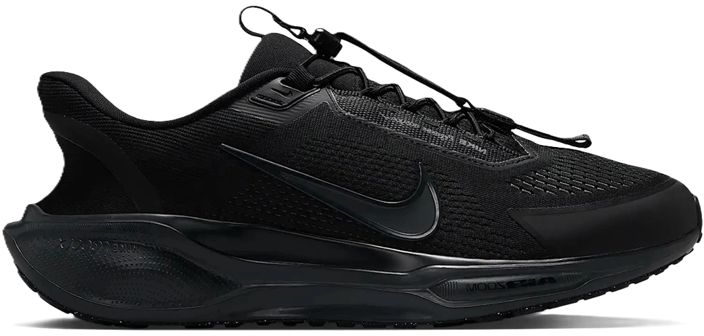 Giay Nike Air Zoom Pegasus 41 EasyOn 'Black Anthracite' FQ7837-001