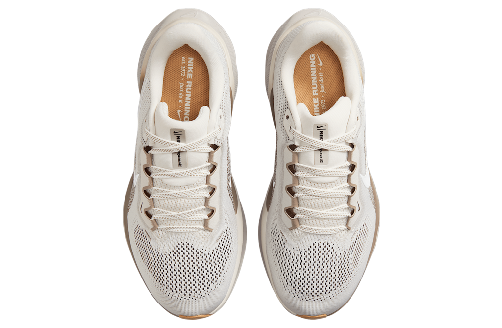 Giay Nike Pegasus 41 ‘Phantom Mink Brown’ FD2723-008