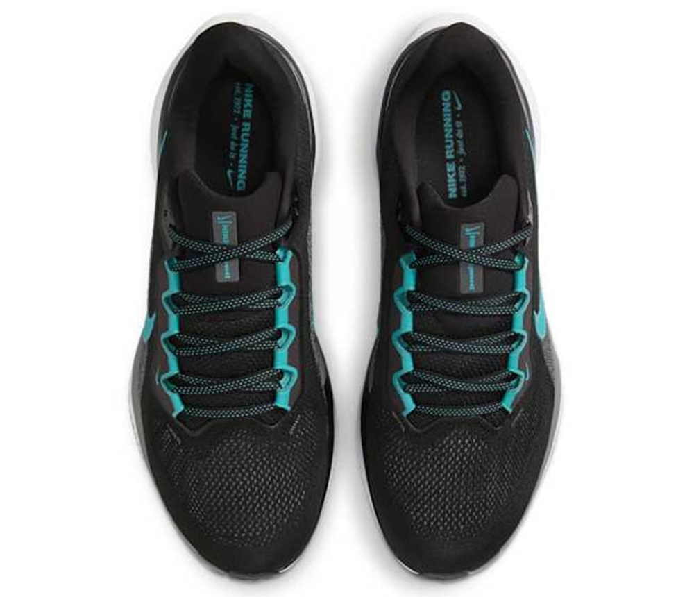 Giay Nike Pegasus 41 ‘Black & Dusty Cactus’ FD2722-007