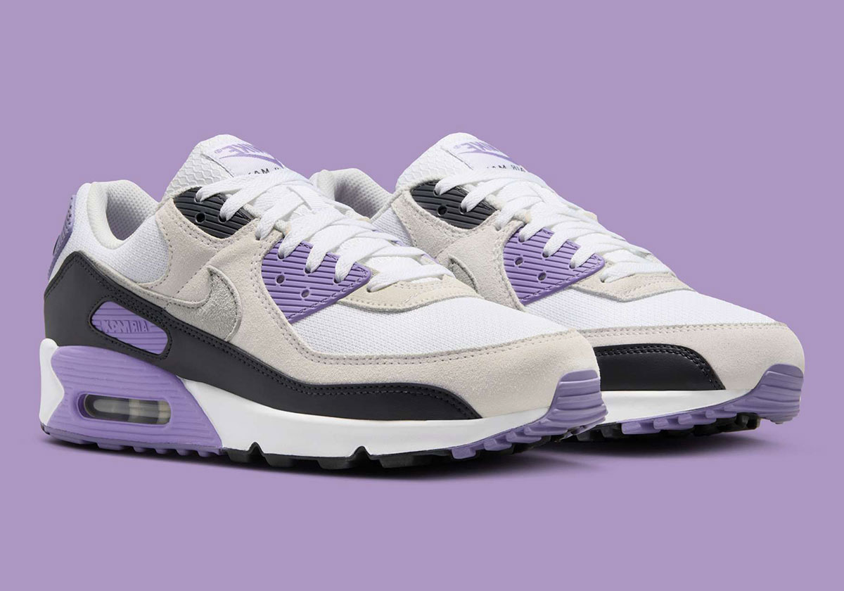 Giay Nike Air Max 90 'Dusty Amethyst' DM0029-114