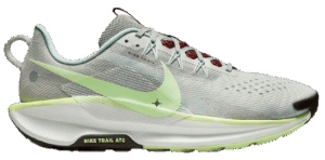 Giay Nike Pegasus Trail 5 ‘Light Silver Barely Volt’ DV3864-004