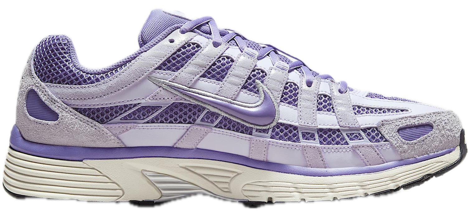Giay Nike P-6000 SE 'Amethyst Tint' HF0015-500