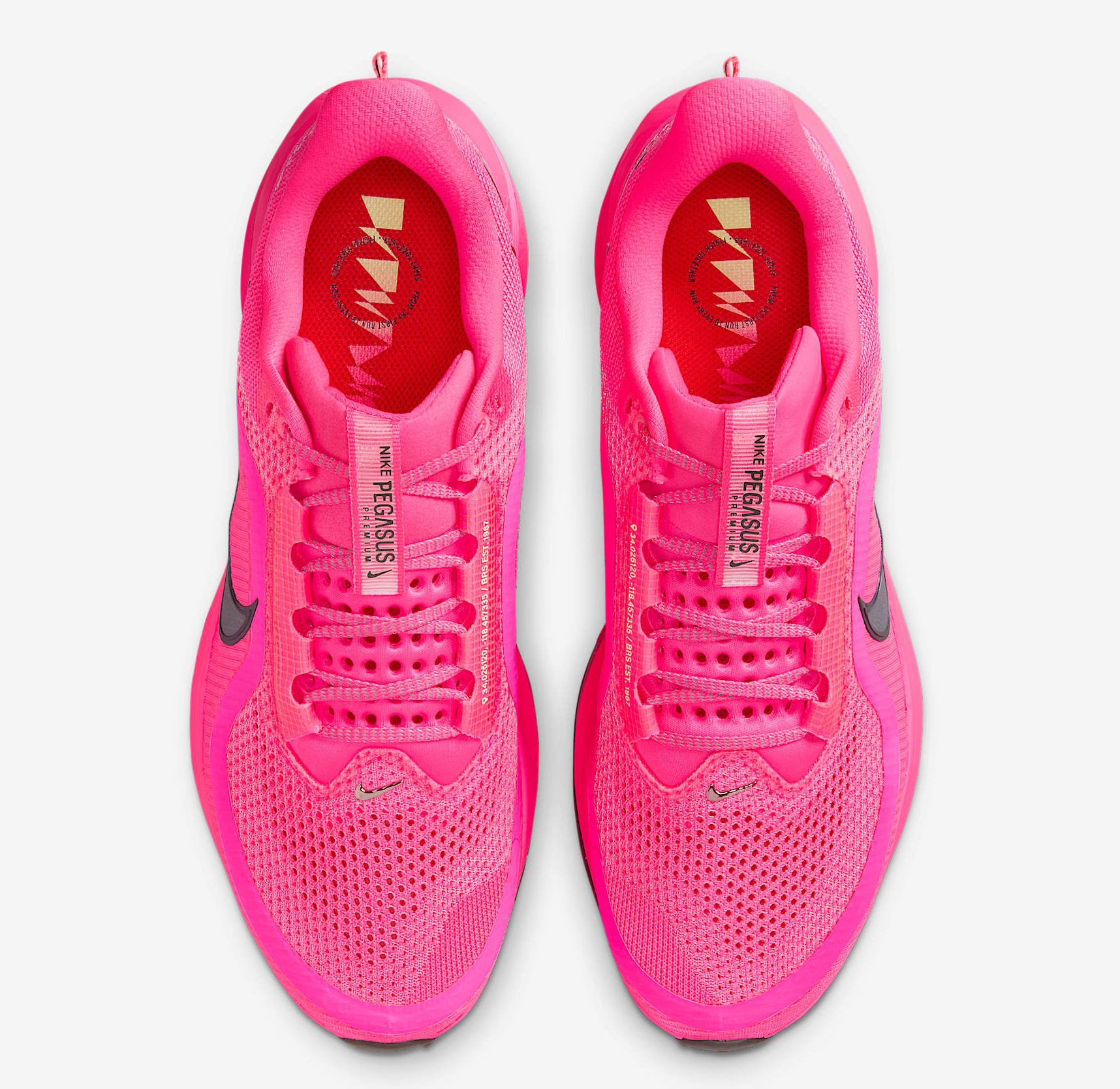 Giay Nike Pegasus Premium 'Hyper Pink' HQ2592-600