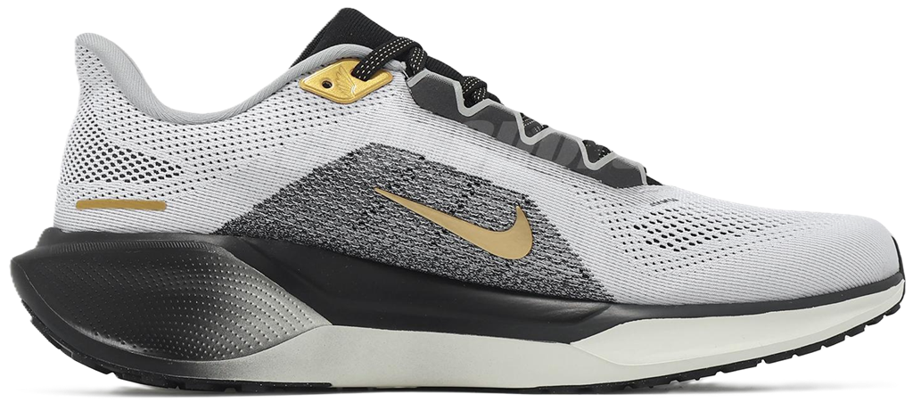 Giay Nike Pegasus 41 PRM 'Light Smoke Grey' HQ2938-100