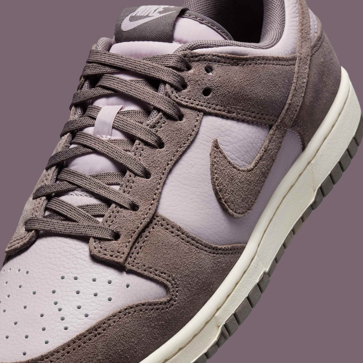 Giay Nike Dunk Low SE 'Platinum Violet Cave Stone' FQ8249-001