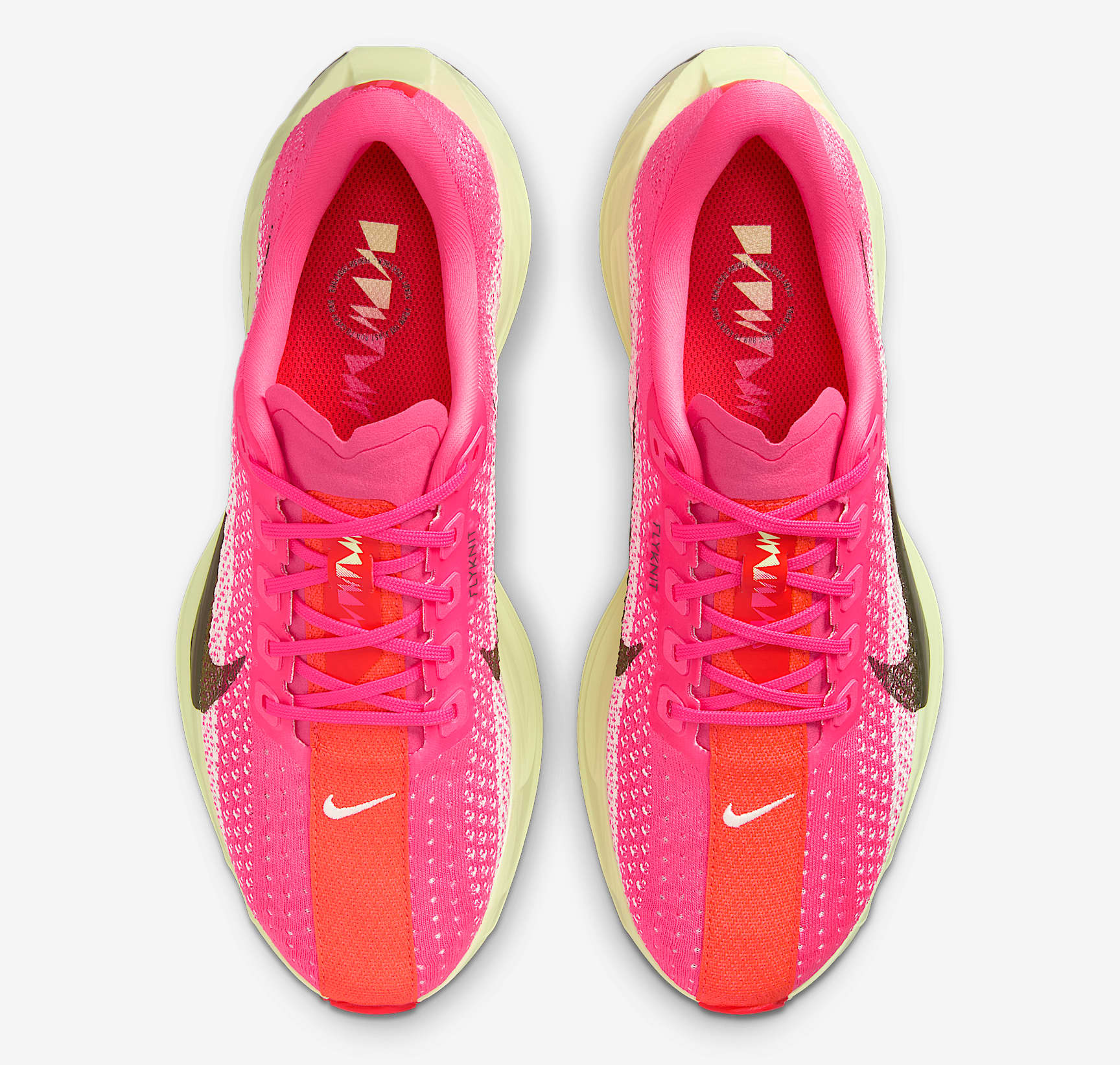 Giay Nike Pegasus Plus 'Hyper Pink Bright Crimson' HV3032-600
