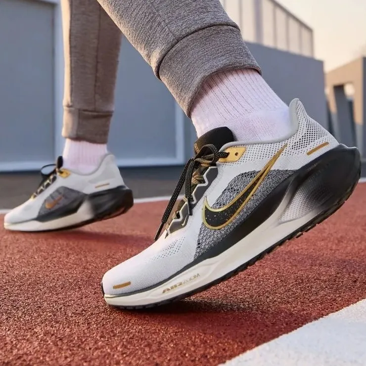 Giay Nike Pegasus 41 PRM 'Light Smoke Grey' HQ2938-100