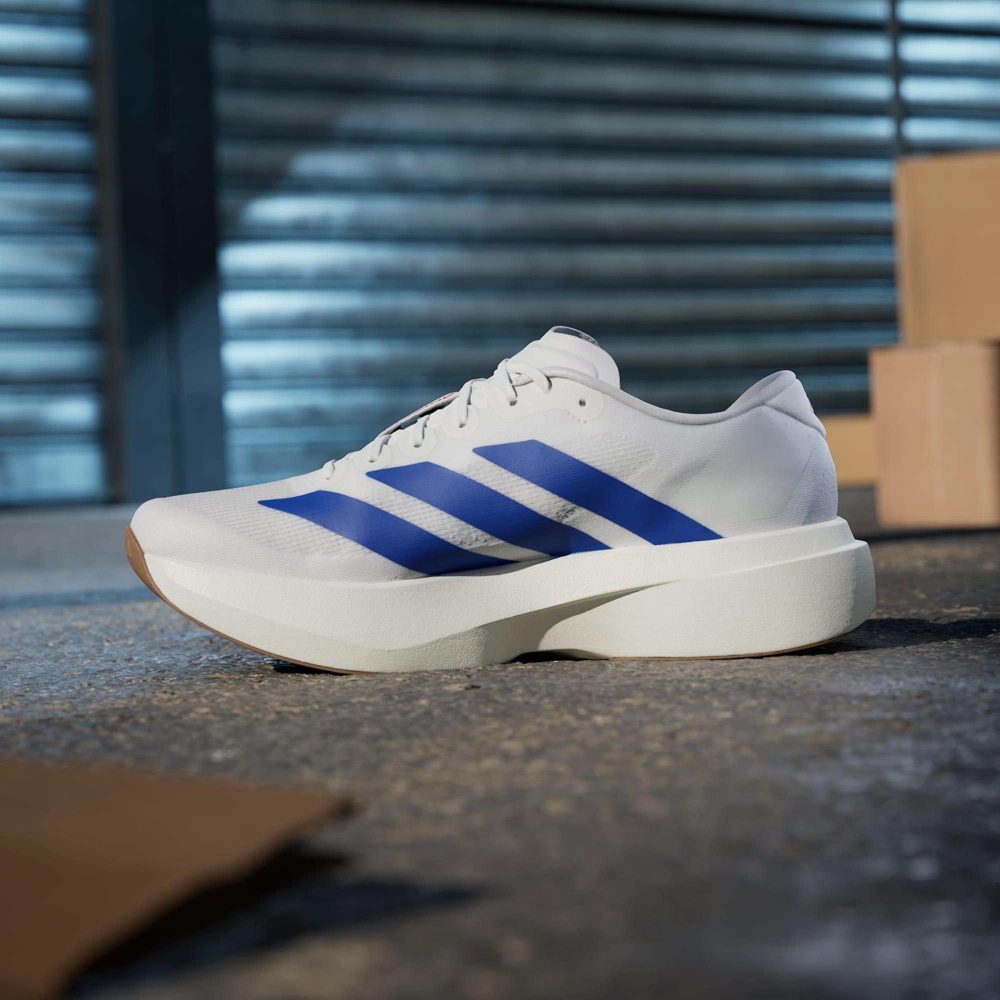 Giay Adidas Adizero Evo SL 'White Royal Blue' JS4494