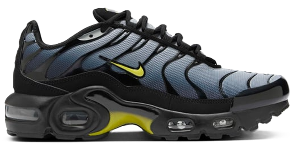 Giày Nike Air Max Plus GS 'Black Wolf Grey' CD0609-033