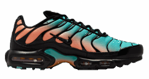 Giày Nike Air Max Plus 'South Beach' DM0032-022