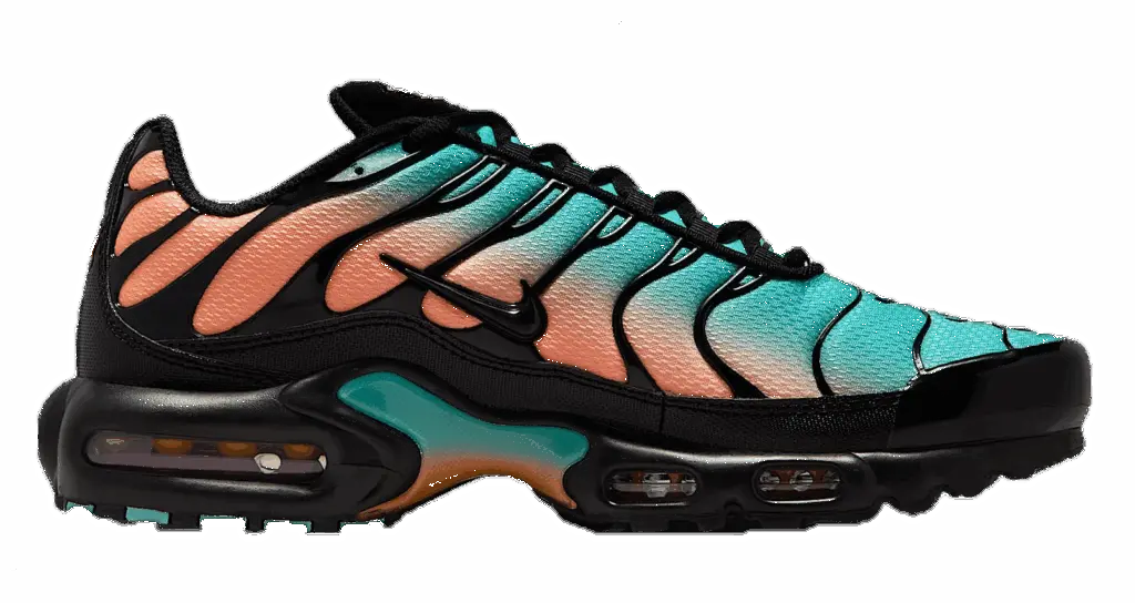 Giày Nike Air Max Plus 'South Beach' DM0032-022