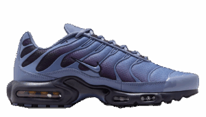 Giày Nike Air Max Plus 'World Indigo' DM0032-404