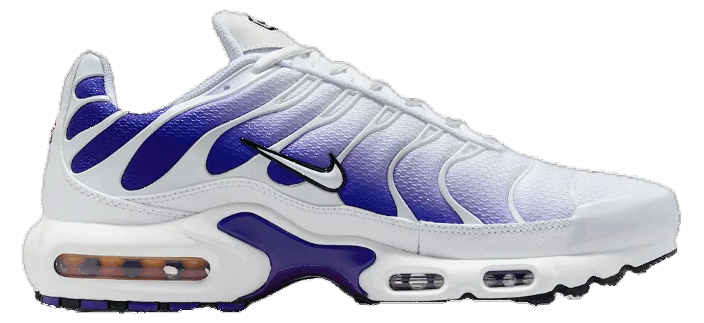 Giày Nike Air Max Plus 'White Wild Grape' DM0032-105