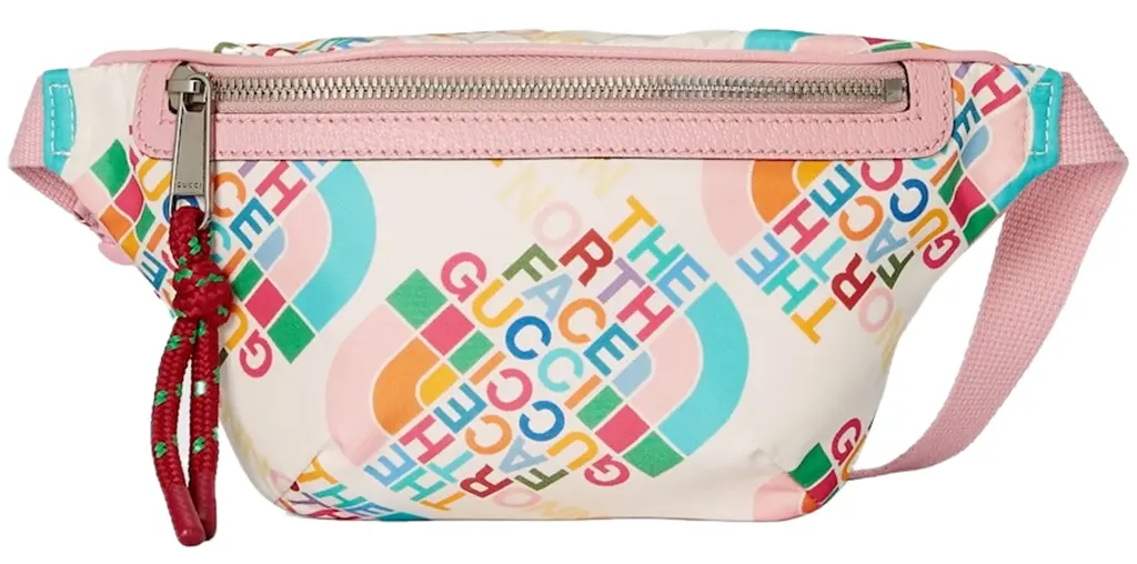 Túi Gucci x The North Face Belt Bag 'Multioclor' 650299-UNHBN-9169