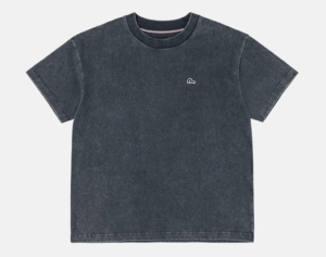 Áo Evisu Seagull Embroidery 'Grey' 2EAEJM5TS6027RXCT