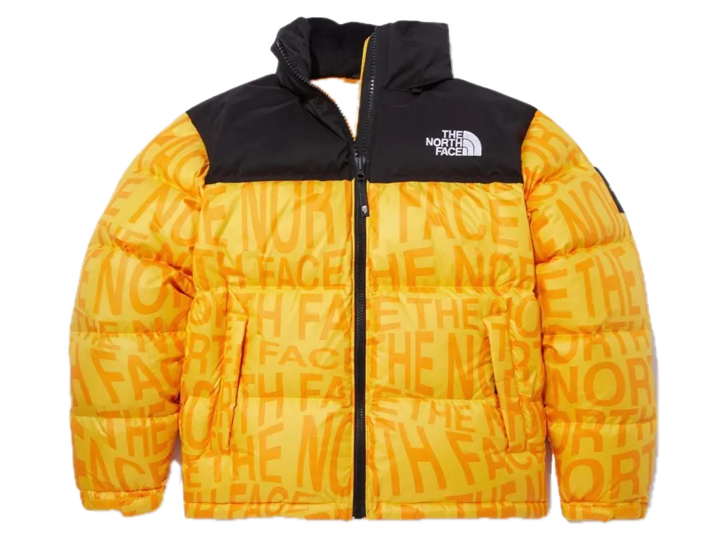 Áo The North Face Korea 'Yellow' NJ1DN51N
