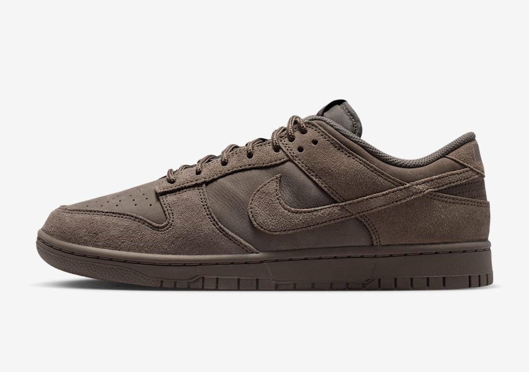 Giày Nike Dunk Low Retro SE 'Cave Stone' IB6651-200 - Ảnh 10